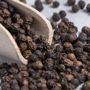 دان فلفل سیاه