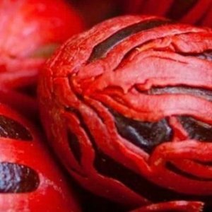 میس ، غلاف جوز هندی