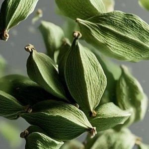 هل سبز  ارگانیک