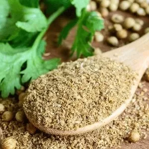 پودر تخم گشنیز