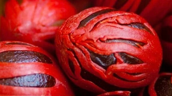 میس ، غلاف جوز هندی